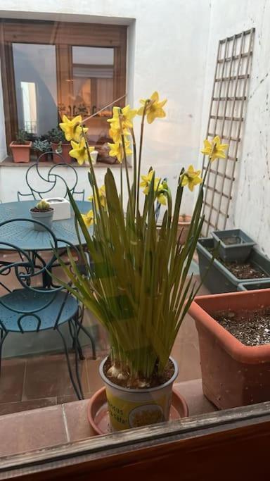 Casa Biar Villa Dış mekan fotoğraf